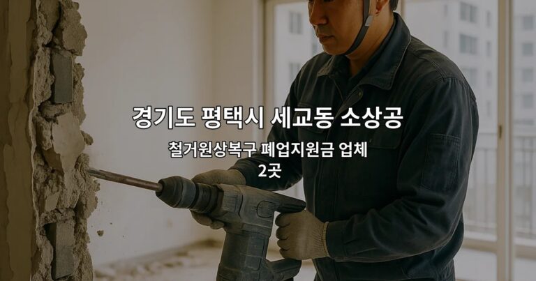 경기도 평택시 세교동 소상공인폐업지원금 철거원상복구 폐업지원금 업체 2곳
