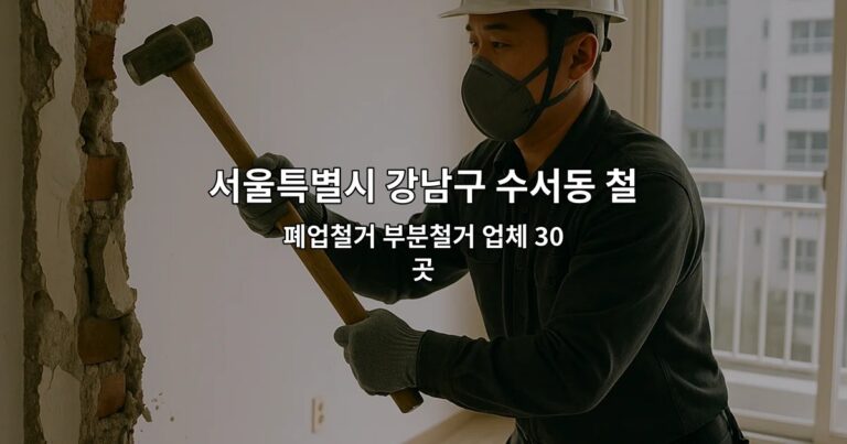 서울특별시 강남구 수서동 철거비용 폐업철거 부분철거 업체 30곳