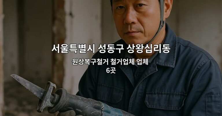 서울특별시 성동구 상왕십리동 폐업지원금 원상복구철거 철거업체 업체 6곳