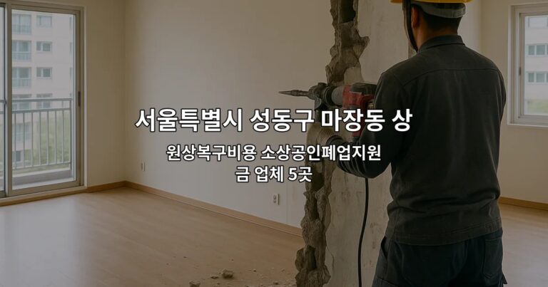 서울특별시 성동구 마장동 상가원상복구업체 원상복구비용 소상공인폐업지원금 업체 5곳