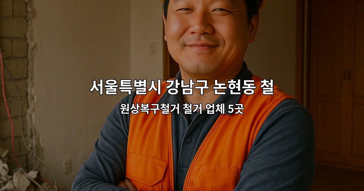 서울특별시 강남구 논현동 철거원상복구 원상복구철거 철거 업체 5곳