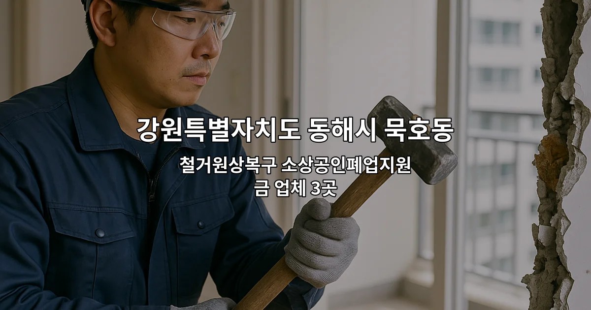강원특별자치도 동해시 묵호동 원상복구철거 철거원상복구 소상공인폐업지원금 업체 3곳