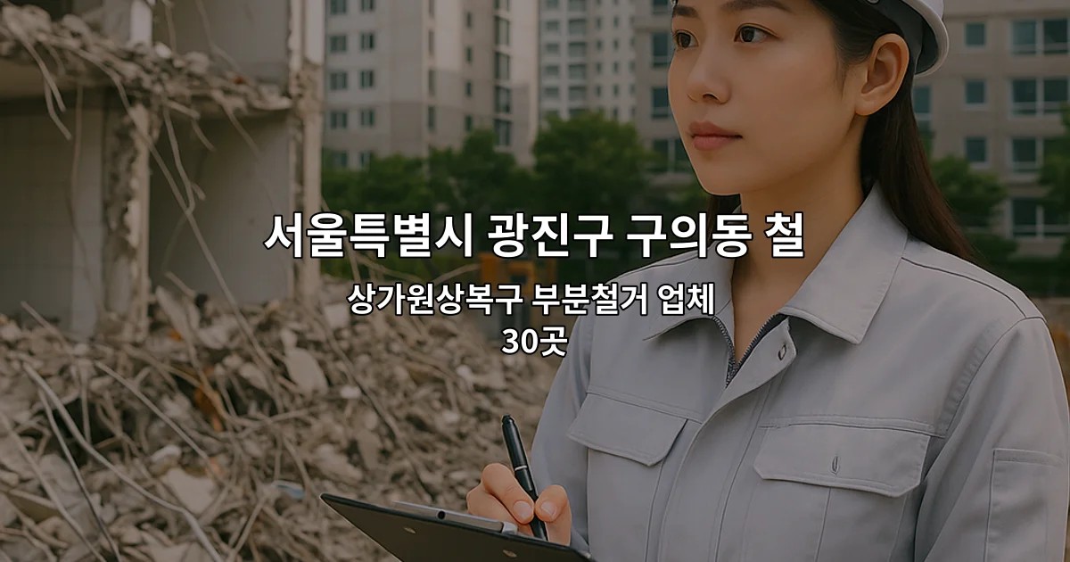 서울특별시 광진구 구의동 철거비용 상가원상복구 부분철거 업체 30곳